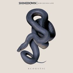 How Did You Love - Shinedown