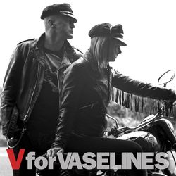 V For Vaselines - The Vaselines