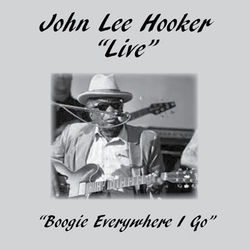 Boogie Everywhere I Go - John Lee Hooker