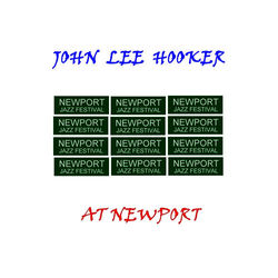 At Newport - John Lee Hooker