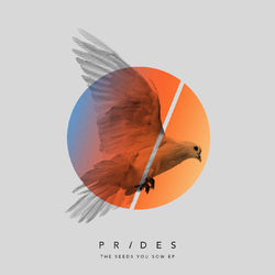 The Seeds You Sow EP - Prides