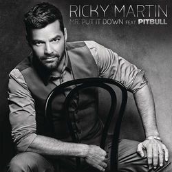 Mr. Put It Down - Ricky Martin