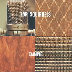 Example - For Squirrels