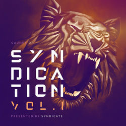 Sounds of Syndication, Vol .1 Presented by Syndicate - Robert DeLong
