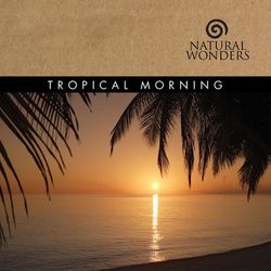 Tropical Morning - David Arkenstone