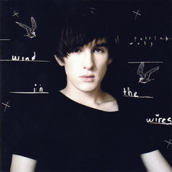 Wind in the Wires - Patrick Wolf