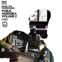 Public Assembly Volume 2 - Damu The Fudgemunk