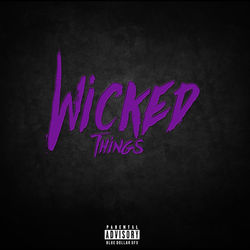 Wicked Things - Sander Kleinenberg