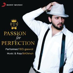 Passion for Perfection - Teg Grewal