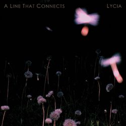 A Line That Connects - Lycia