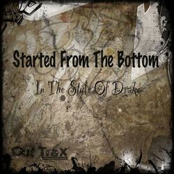 Drake - Started From The Bottom (In The Style Of Drake) - Single