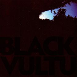 Black Vultures - Daniel Norgren