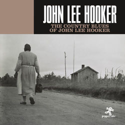 The Country Blues Of John Lee Hooker - John Lee Hooker