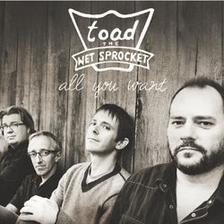 All You Want - Toad The Wet Sprocket