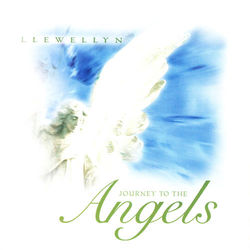 Journey to the Angels - Llewellyn