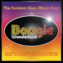 Boogie Wonderland - Paul Young