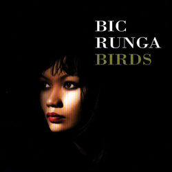 Birds - Bic Runga