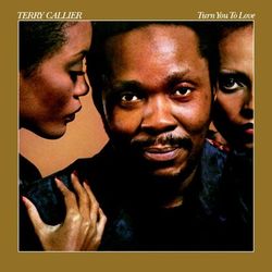 Turn You To Love - Terry Callier