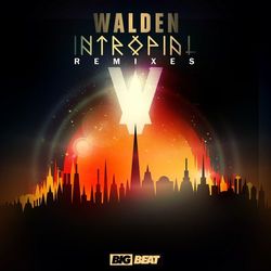 Intropial Remixes - Walden
