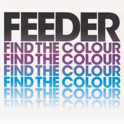 Find The Colour - Feeder