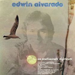 Un Sentimiento Diferente - Edwin Alvarado