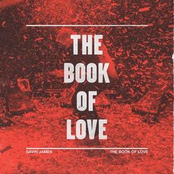 The Book of Love - Osvaldo Supino