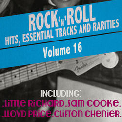 Rock 'N' Roll Hits, Essential Tracks and Rarities, Vol. 16 - John Lee Hooker