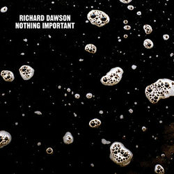 Nothing Important - Richard Dawson