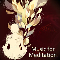Music for Meditation - Relaxation Music, Nature Sounds Will Help You Relax and Feel the Inner Strength - Yoga