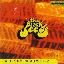 The Black Seeds - Keep on pushing