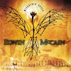 Misguided Roses - Edwin McCain
