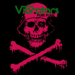 Pure Punk - The Vibrators