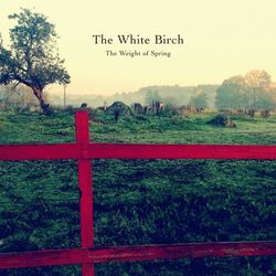 The Weight of Spring - The White Birch