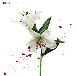 Deeply Ordered Chaos - The Cult