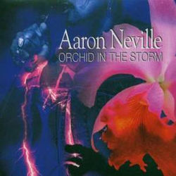 Orchid in the Storm - Aaron Neville