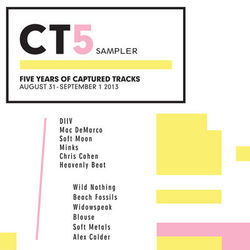 CT5 Sampler: Five Years of Captured Tracks - Wild Nothing