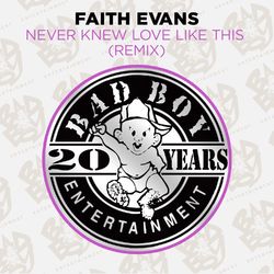 Never Knew Love Like This (Remix) - Faith Evans