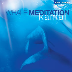 Whale Meditation - Kamal