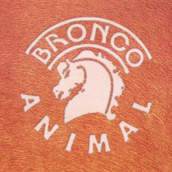 Animal - Bronco