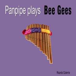 Panpipe Plays Bee Gees - Bee Gees