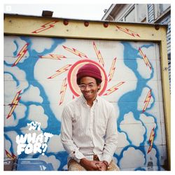 What For? - Toro Y Moi