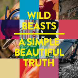 A Simple Beautiful Truth - Wild Beasts