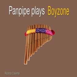 Panpipe Plays Boyzone - Boyzone