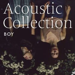 Acoustic Collection - BOY