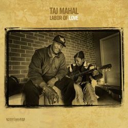 Labor of Love - Taj Mahal
