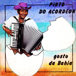 Gosto da Bahia - Pinto do Acordeon