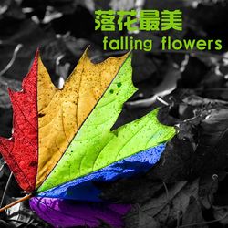 Falling Flowers - Falling Flowers
