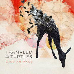 Wild Animals (Trampled By Turtles)