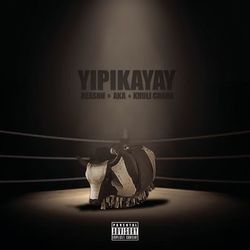 Yipikayay - Reason