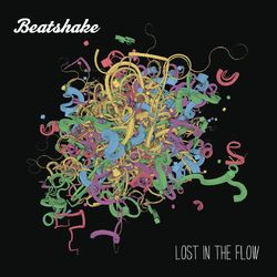 Lost in The Flow - Beatshake